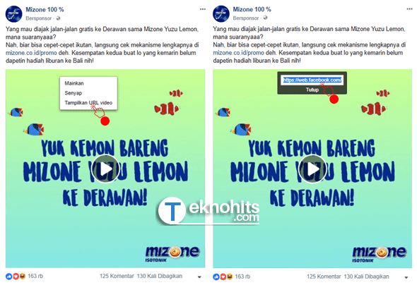 tampilkan url video fb