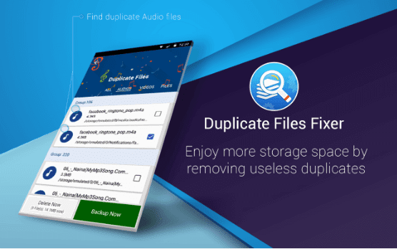 duplicate files fixer