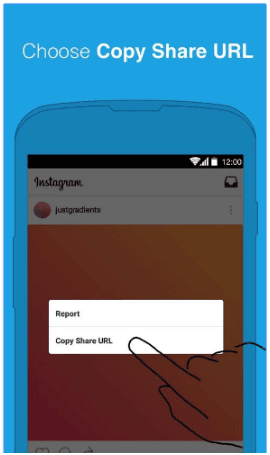 copy share url