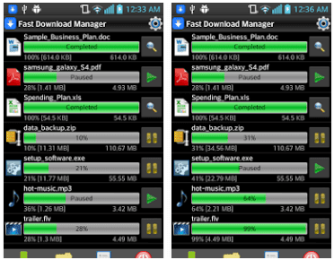 fast download manager