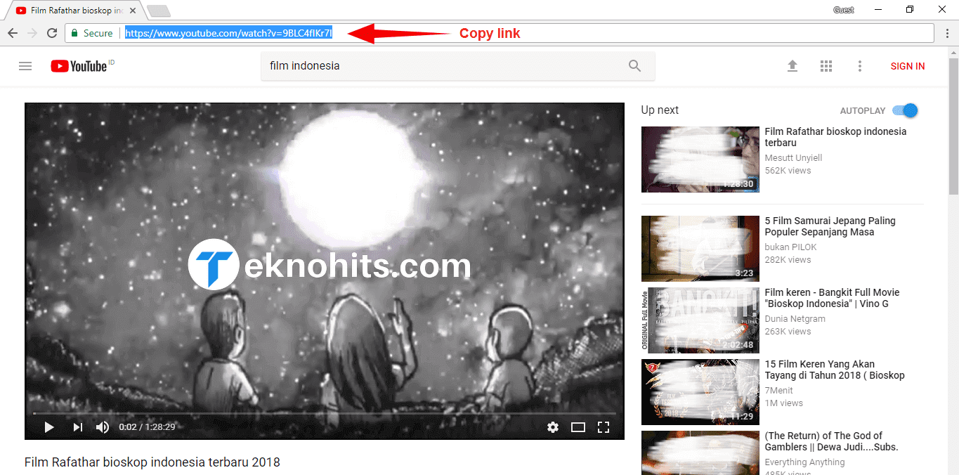 copy url video