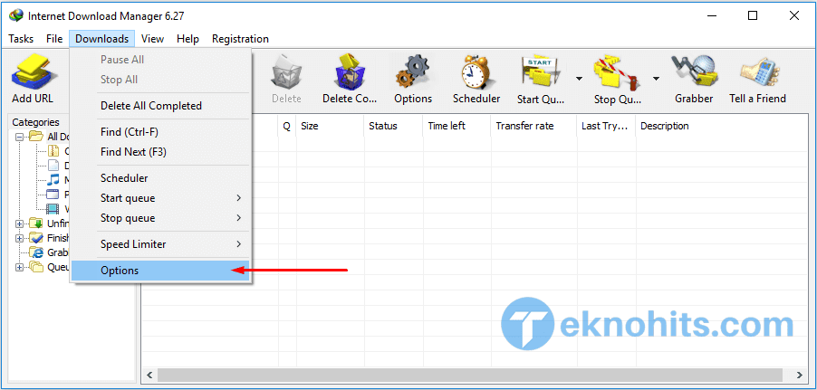 options internet download manager