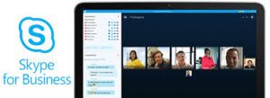 skype, online meeting 