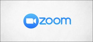 zoom, online meeting 